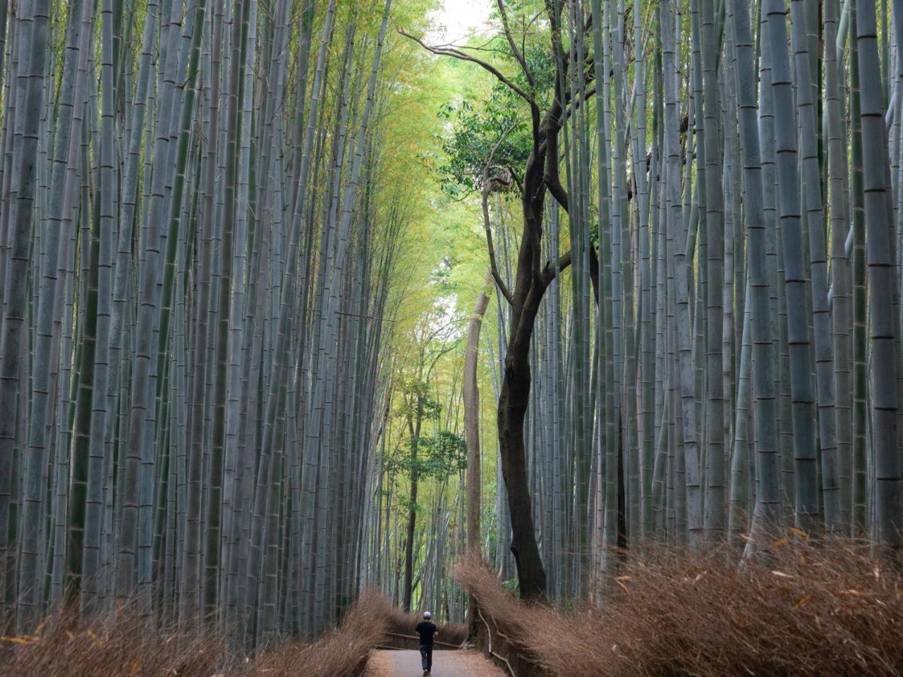 Stay Marutamachi Kyoto Eksteriør bilde