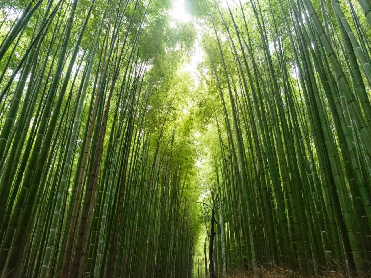 Stay Marutamachi Kyoto Eksteriør bilde